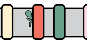 "Follow the Leader" belt